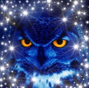 Meet your Posher, Ann lynn